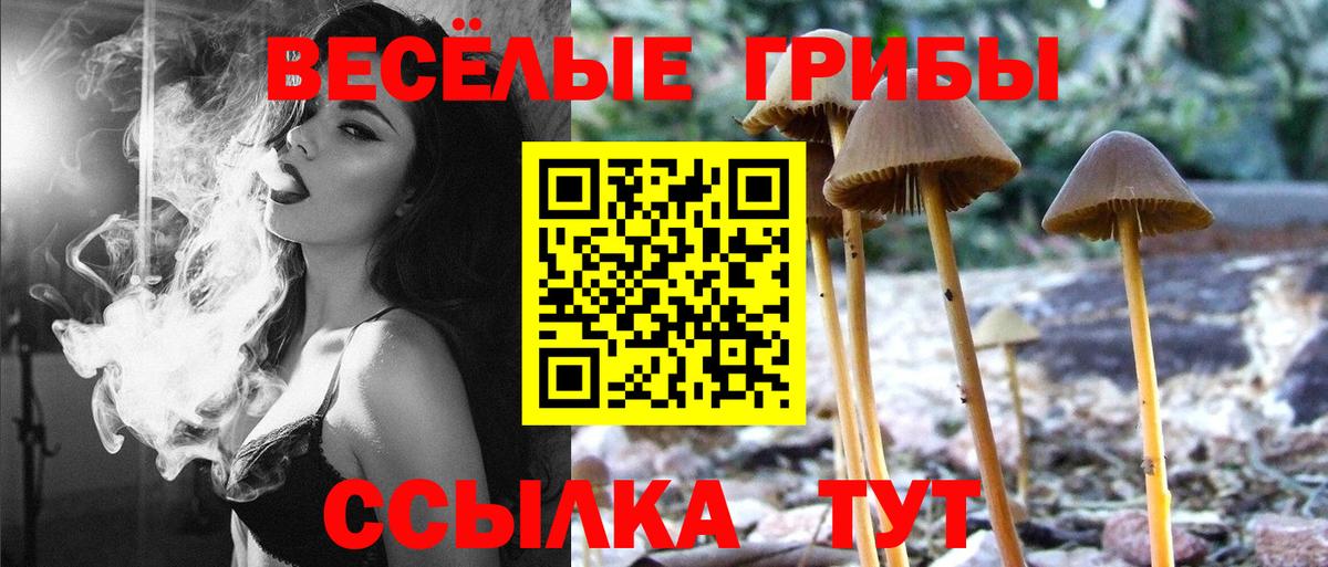 Конаково  Псилоцибиновые грибы GOLDEN TEACHER  Вход с VPN 